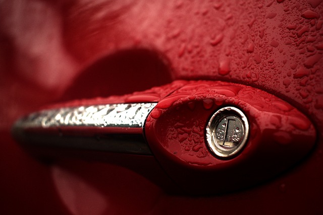 Hyundai door handle